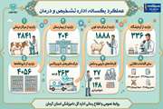 اینفوگرافی: عملکرد یکساله اداره تشخیص و درمان